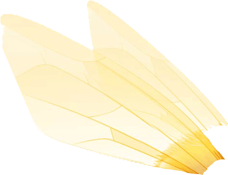 bee wing 2.png